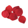 Extase Sensual - Coffre Tentation Rouge